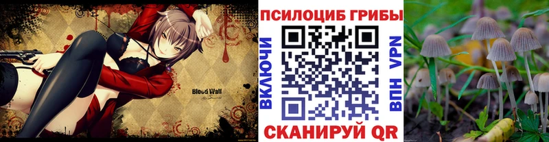 что такое наркотик  Саки  Галлюциногенные грибы Magic Shrooms 