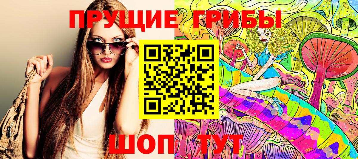 где продают наркотики  Вход с VPN  Псилоцибиновые грибы Psilocybine cubensis  Саки  Псилоцибиновые грибы прущие грибы 