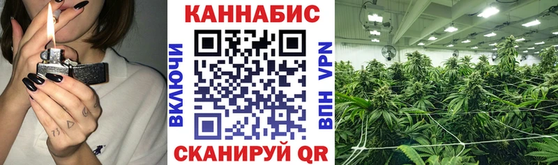купить наркотик  Саки  Конопля SATIVA & INDICA 